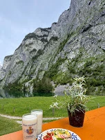 Alkoholfreies Helles Bler